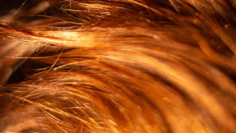 What's the difference between hairstyle and styling?