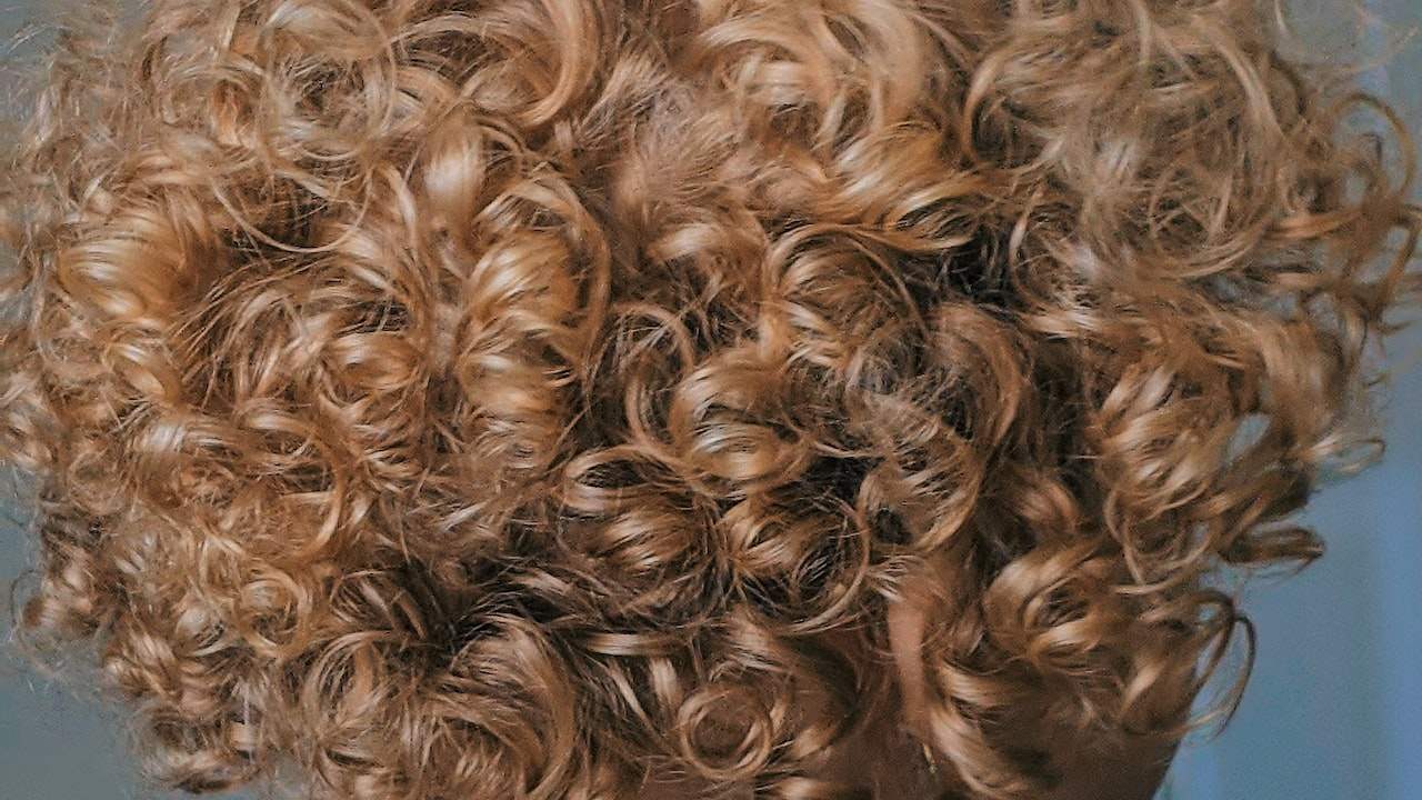 What industry does the barber shop belong to?