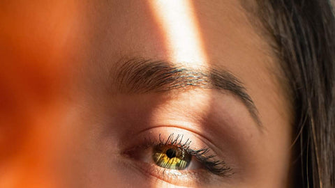 Which brand of hairdresser is good?