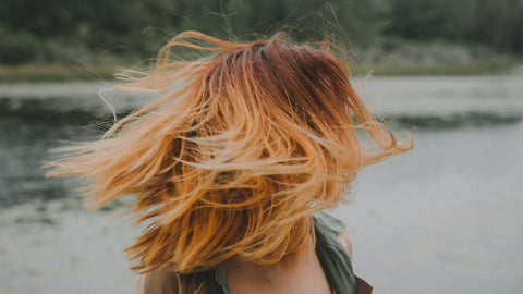 Which brands are the top ten barber shops?