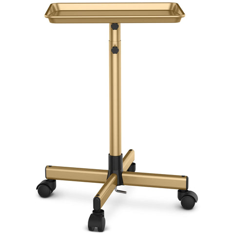 TASALON Premium Salon Tray on Wheels