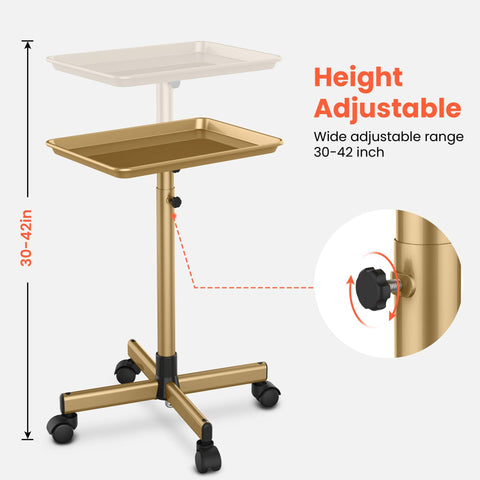 TASALON Premium Salon Tray on Wheels