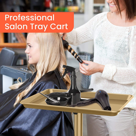 TASALON Premium Salon Tray on Wheels