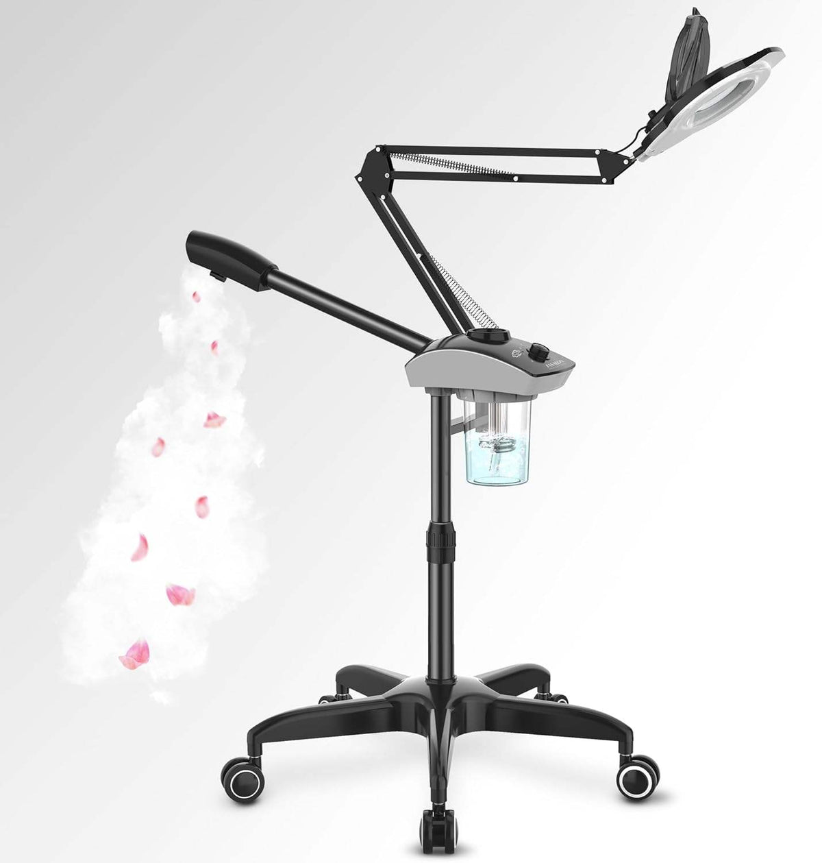 TASALON Professional 2 in 1 Facial Steamer with 5X Magnifying Lamp