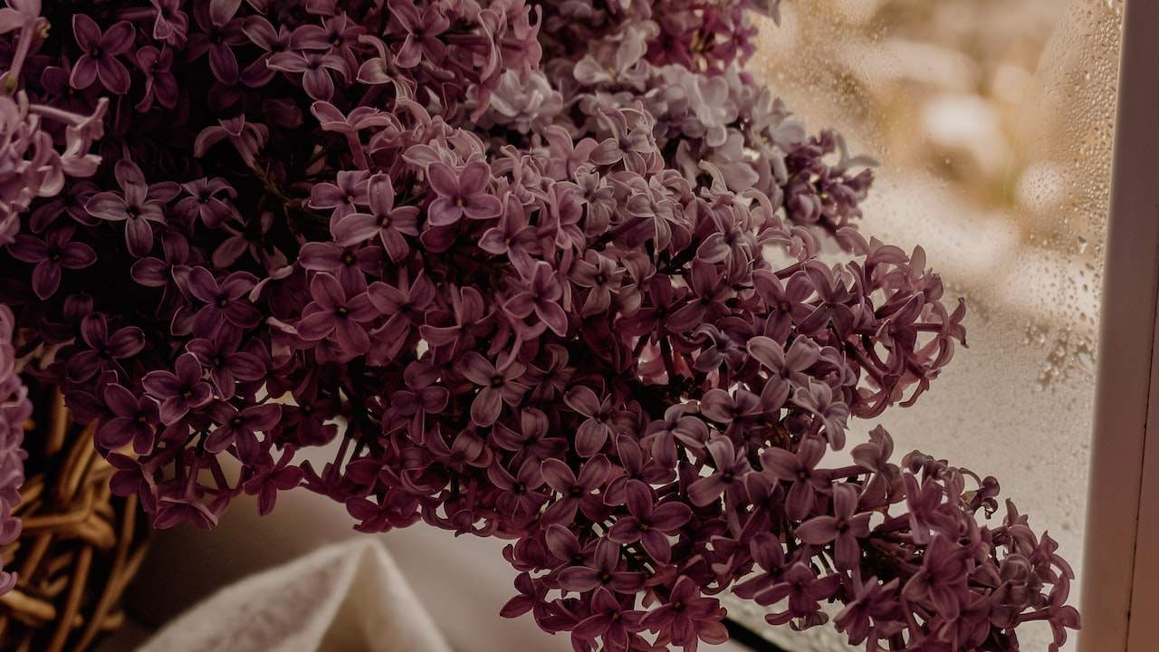 Is haircut scissors a labor-saving lever or a labor-saving lever? why ...