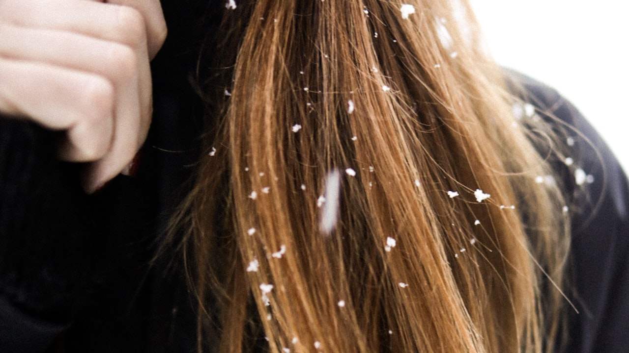 Is it better to have a hairdresser or a new barber often? Why?