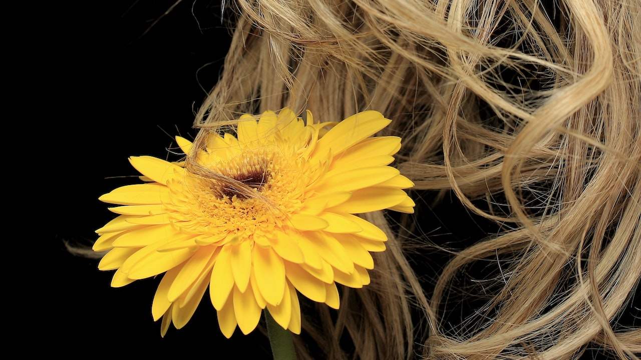 The skills and methods of how to make a perfect hairstyle?