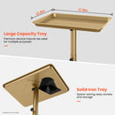 TASALON Premium Salon Tray on Wheels