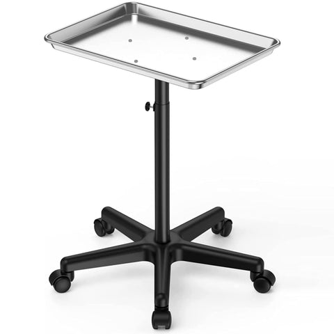 TASALON Budget Salon Tray on Wheels