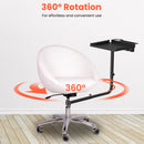 TASALON Metal Hairstylist Tray with 2 Magnetic Bowls, 360° Rotating