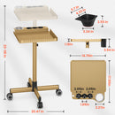 TASALON Metal Rolling Salon Tray on Wheels -Gold