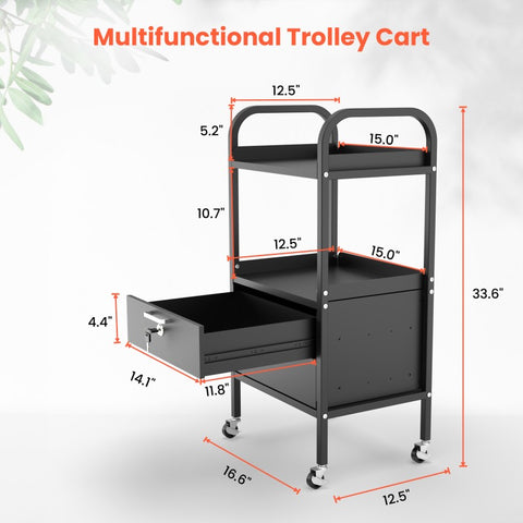 Lockable Metal Utility Cart With Wheels