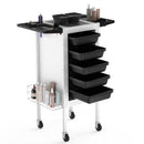 TASALON Upgrade Salon Metal Trolley