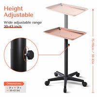 TASALON Adjustable Salon Tray on Wheels