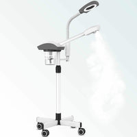 movesable facial steamer