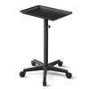 TASALON Adjustable Salon Tray on Wheels