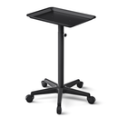 TASALON Adjustable Salon Tray on Wheels