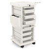 TASALON Salon Trolley Rolling Storage Cart
