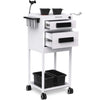 TASALON New Upgrade Salon Metal Trolley Cart