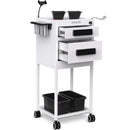TASALON New Upgrade Salon Metal Trolley Cart